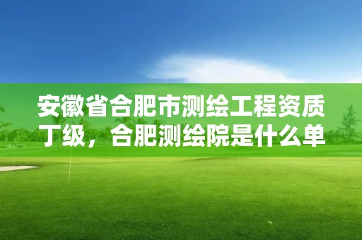 安徽省合肥市測繪工程資質(zhì)丁級，合肥測繪院是什么單位