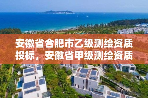 安徽省合肥市乙級(jí)測(cè)繪資質(zhì)投標(biāo)，安徽省甲級(jí)測(cè)繪資質(zhì)單位