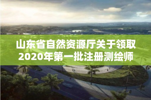 山東省自然資源廳關(guān)于領(lǐng)取2020年第一批注冊(cè)測(cè)繪師證章的公告