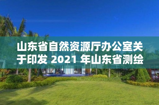 山東省自然資源廳辦公室關于印發 2021 年山東省測繪資質單位監督檢查實施方案的通知