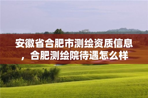 安徽省合肥市測繪資質信息，合肥測繪院待遇怎么樣