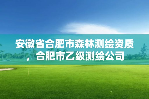 安徽省合肥市森林測繪資質，合肥市乙級測繪公司