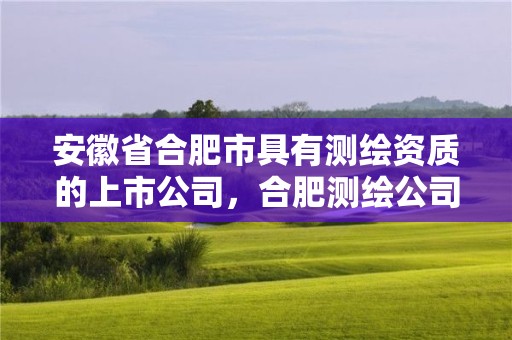 安徽省合肥市具有測(cè)繪資質(zhì)的上市公司，合肥測(cè)繪公司招聘