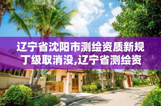 遼寧省沈陽市測繪資質新規丁級取消沒,遼寧省測繪資質延期。