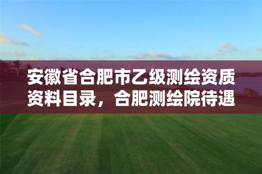 安徽省合肥市乙級測繪資質資料目錄，合肥測繪院待遇怎么樣