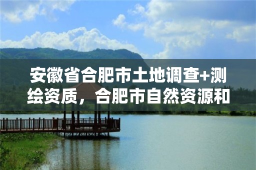 安徽省合肥市土地調查+測繪資質，合肥市自然資源和規劃局測繪地理信息管理處