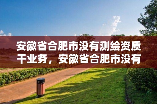 安徽省合肥市沒有測繪資質(zhì)干業(yè)務(wù)，安徽省合肥市沒有測繪資質(zhì)干業(yè)務(wù)的公司