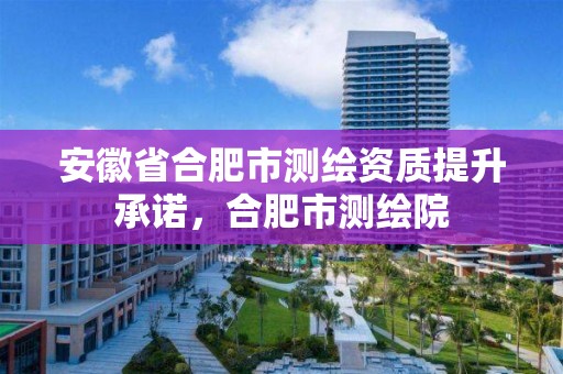 安徽省合肥市測繪資質提升承諾，合肥市測繪院