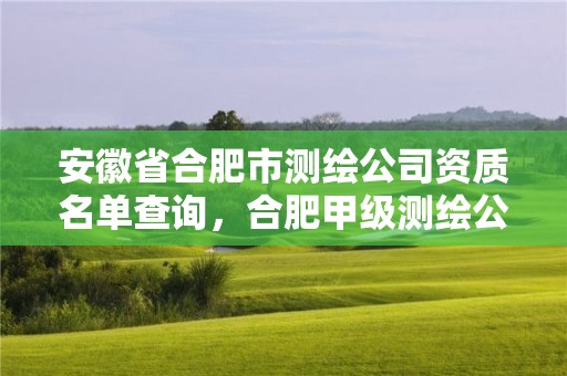 安徽省合肥市測(cè)繪公司資質(zhì)名單查詢，合肥甲級(jí)測(cè)繪公司排行