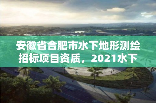 安徽省合肥市水下地形測繪招標(biāo)項(xiàng)目資質(zhì)，2021水下地形測量招標(biāo)