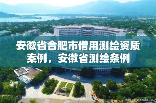 安徽省合肥市借用測繪資質案例，安徽省測繪條例