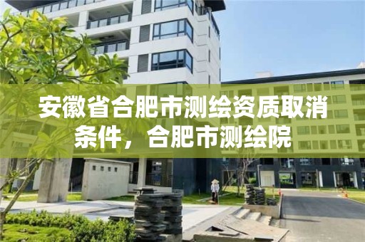 安徽省合肥市測繪資質取消條件，合肥市測繪院