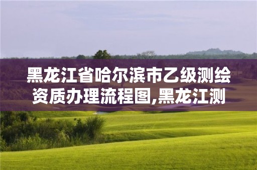 黑龍江省哈爾濱市乙級測繪資質辦理流程圖,黑龍江測繪公司乙級資質。