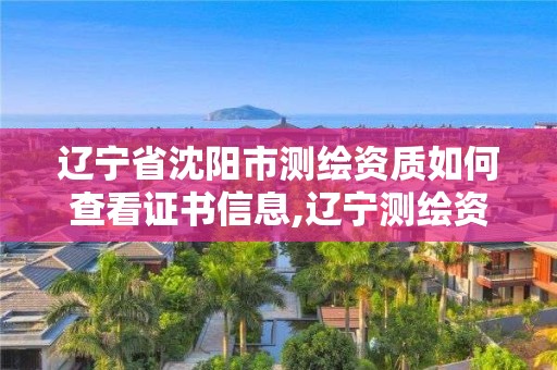 遼寧省沈陽市測繪資質如何查看證書信息,遼寧測繪資質單位。