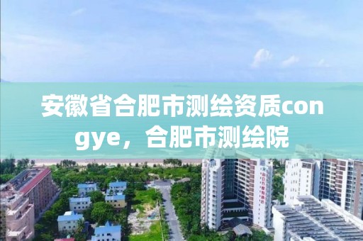 安徽省合肥市測繪資質(zhì)congye，合肥市測繪院