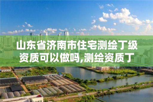 山東省濟南市住宅測繪丁級資質可以做嗎,測繪資質丁級是什么意思。