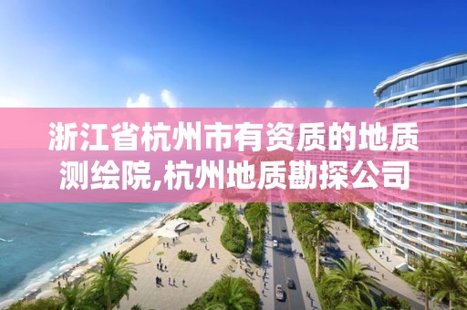 浙江省杭州市有資質的地質測繪院,杭州地質勘探公司。