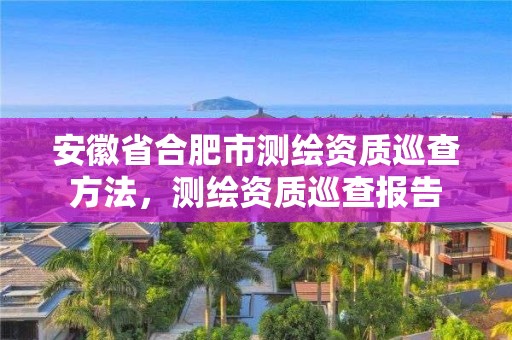 安徽省合肥市測繪資質(zhì)巡查方法，測繪資質(zhì)巡查報告