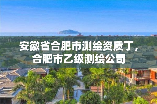 安徽省合肥市測繪資質丁，合肥市乙級測繪公司