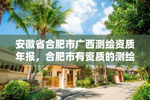 安徽省合肥市廣西測繪資質年報，合肥市有資質的測繪公司