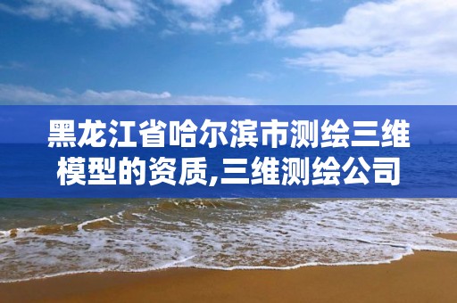 黑龍江省哈爾濱市測繪三維模型的資質,三維測繪公司。