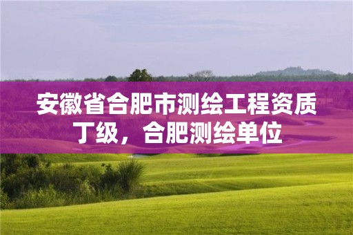 安徽省合肥市測(cè)繪工程資質(zhì)丁級(jí)，合肥測(cè)繪單位