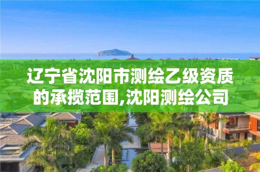 遼寧省沈陽市測繪乙級資質的承攬范圍,沈陽測繪公司哪家強哪家好。