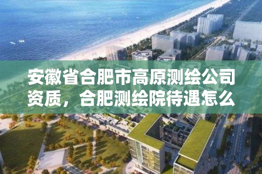 安徽省合肥市高原測繪公司資質，合肥測繪院待遇怎么樣