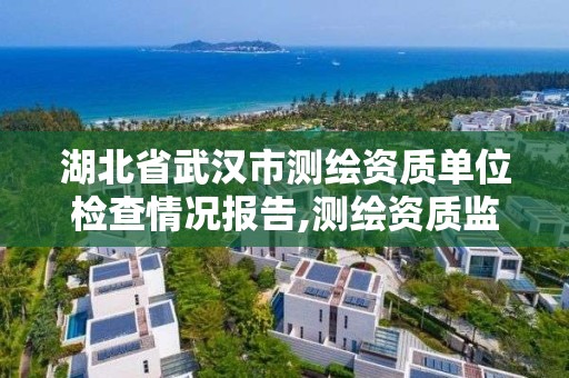 湖北省武漢市測繪資質單位檢查情況報告,測繪資質監督檢查辦法。