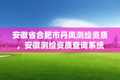 安徽省合肥市丹鳳測繪資質，安徽測繪資質查詢系統