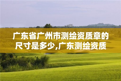 廣東省廣州市測繪資質章的尺寸是多少,廣東測繪資質查詢。