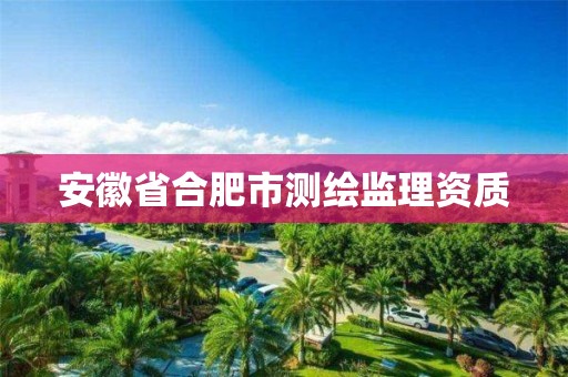 安徽省合肥市測繪監(jiān)理資質(zhì)