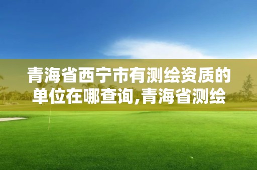 青海省西寧市有測繪資質的單位在哪查詢,青海省測繪資質延期公告。