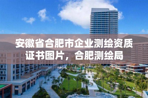 安徽省合肥市企業測繪資質證書圖片，合肥測繪局