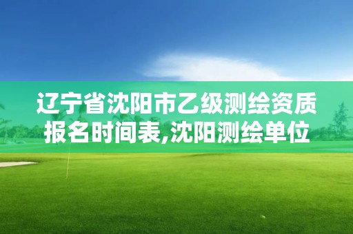 遼寧省沈陽市乙級測繪資質報名時間表,沈陽測繪單位排名。