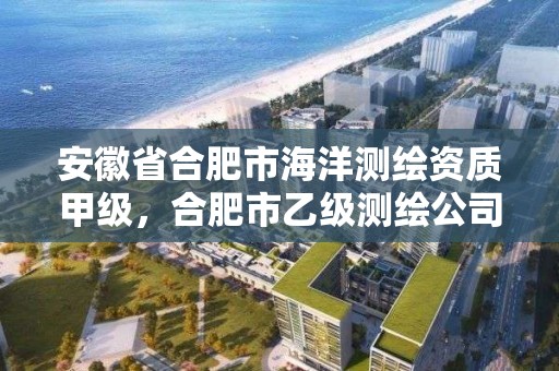 安徽省合肥市海洋測繪資質(zhì)甲級，合肥市乙級測繪公司