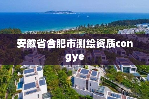 安徽省合肥市測繪資質congye