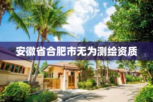 安徽省合肥市無為測繪資質