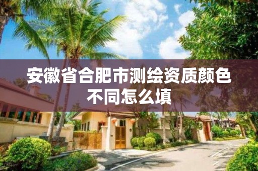 安徽省合肥市測繪資質顏色不同怎么填