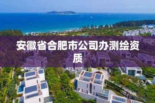 安徽省合肥市公司辦測(cè)繪資質(zhì)