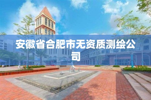 安徽省合肥市無資質(zhì)測繪公司