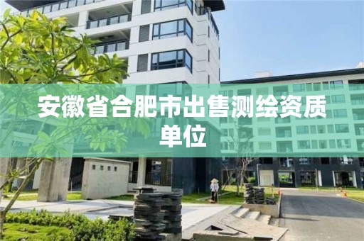 安徽省合肥市出售測繪資質單位