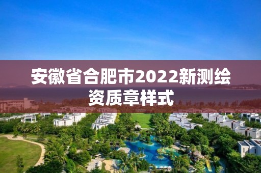 安徽省合肥市2022新測繪資質章樣式