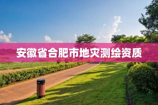 安徽省合肥市地災測繪資質