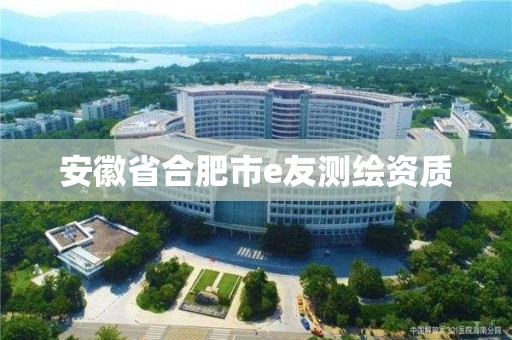 安徽省合肥市e友測繪資質(zhì)