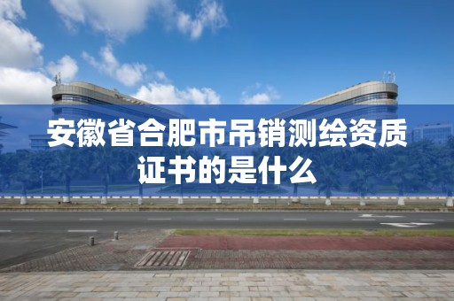 安徽省合肥市吊銷測繪資質證書的是什么