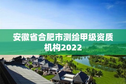 安徽省合肥市測繪甲級資質機構2022