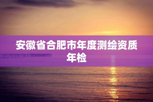 安徽省合肥市年度測繪資質年檢