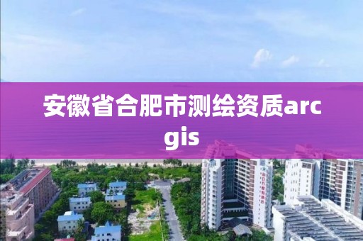 安徽省合肥市測繪資質(zhì)arcgis