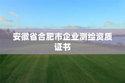 安徽省合肥市企業測繪資質證書